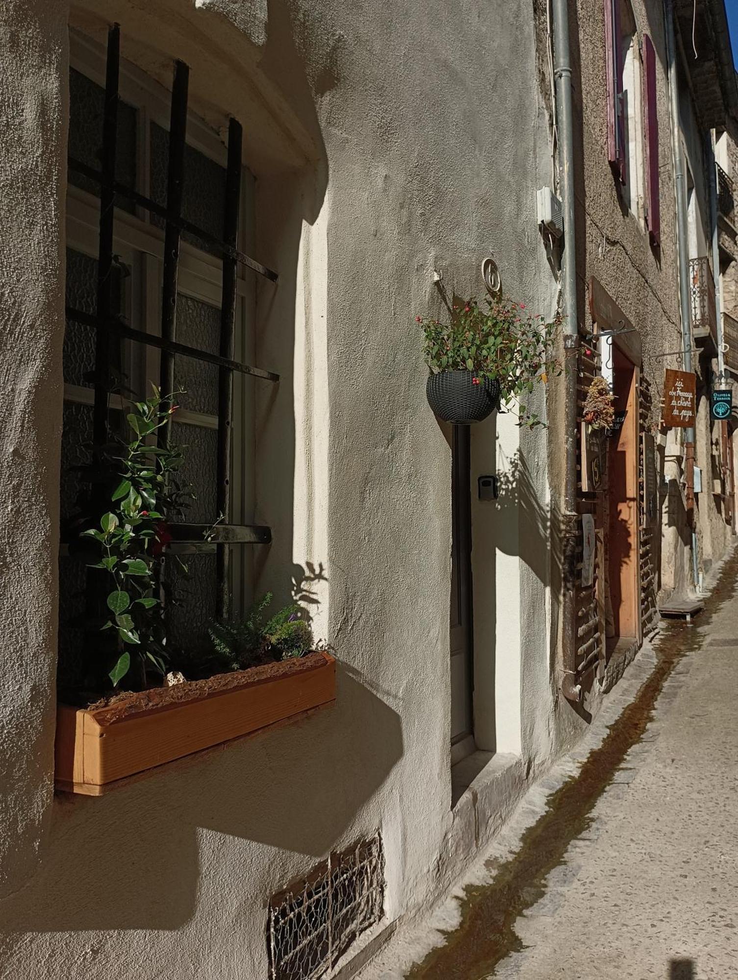 La Maison De La Traverse Saint-Guilhem-le-Desert Eksteriør billede